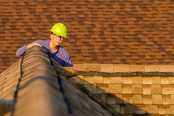 Best Roof Maintenance Services  in Lyons, IL