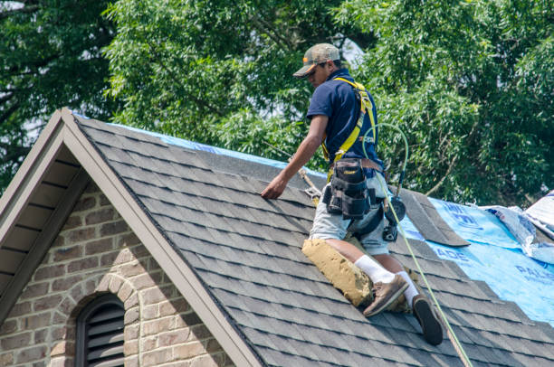 Trusted Lyons, IL Roofing Contractor Experts